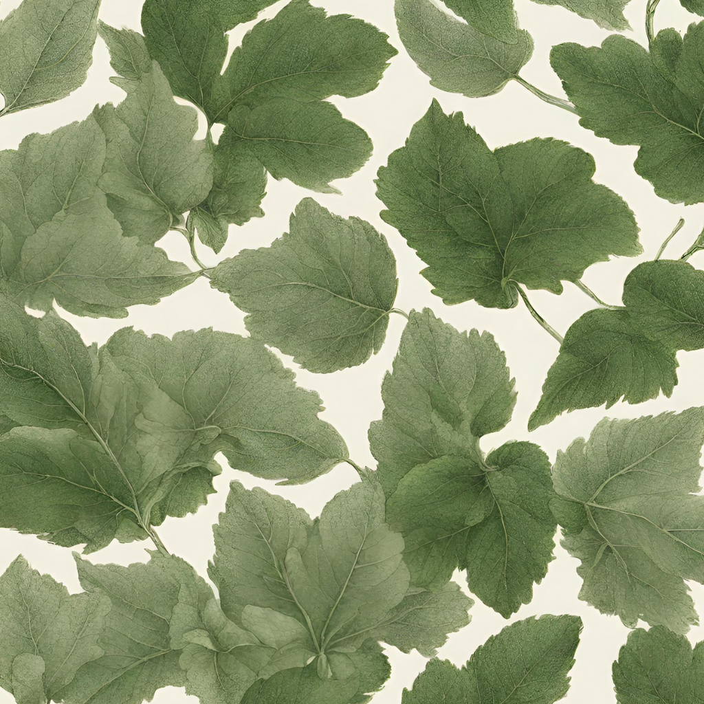 Understanding Herb Series: Dittany Leaf